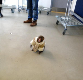 Illustration for article titled Monkey with stylish winter coat spotted at Toronto Ikea